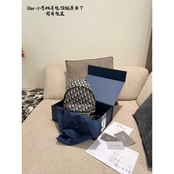 Dior Rider Backpack (oblique, with packaging)